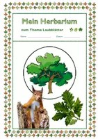 Vorschau - Stundenentwürfe - Materialpaket BNT / BIO Klasse 5 - Seite 3