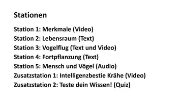 Vorschau - Stundenentwürfe - Stationenlernen Vögel - Seite 3