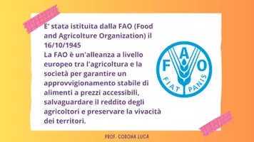 anteprima - Programmi scolastici / Materiali per docenti - UdA Educazione civica - Obiettivo n 2 - Fame 0 - Pagina 3
