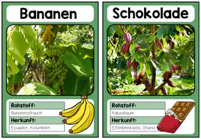 Vorschau - Unterrichtsreihen - REGENWALD - Materialpaket - Seite 3