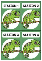 Vorschau - Bildkarten - REGENWALD - Stationskarten - Seite 1