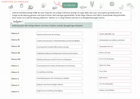 Vorschau - Arbeitsblätter - Vitamine, Vitaminbedarf, Mangelerscheinungen - Seite 1