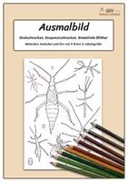 Vorschau - Mal- und Bastelvorlagen - Ausmalbild - Stabschrecken, Gespenstschrecken, Wandelnde Blätter - Deckblatt
