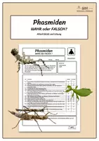Vorschau - Arbeitsblätter - Phasmiden - Wahr oder Falsch - Aufgabenblatt und Lösung - Deckblatt