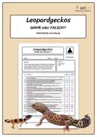 Vorschau - Arbeitsblätter - Leopardgecko - Wahr oder Falsch - Aufgabenblatt und Lösung - Deckblatt