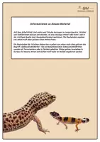 Vorschau - Arbeitsblätter - Leopardgecko - Wahr oder Falsch - Aufgabenblatt und Lösung - Seite 1