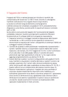 anteprima - Materiale di supporto/inclusione - Il tappeto del 100 - Pagina 1