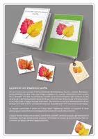 Aperçu - Jeux - Dossier d'exercices | Le premier vent d‘automne souffle Level 1+2 - Page 1