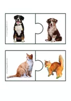anteprima - Flashcard - accoppia gli animali mamma e cucciolo - Pagina 2