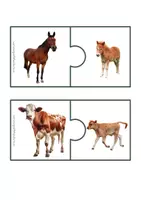 anteprima - Flashcard - accoppia gli animali mamma e cucciolo - Pagina 3