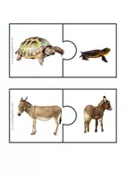 anteprima - Flashcard - accoppia gli animali mamma e cucciolo - Pagina di copertina