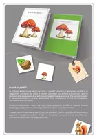 Aperçu - Apprentissages en autonomie - Dossier d'exercices | Grand ou petit ? Level 1+2 - Page 1
