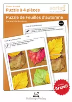 Aperçu - Jeux - Fiches de travail | Puzzle de Feuilles d‘automne, 4 pieces - Page de couverture