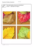 Aperçu - Jeux - Fiches de travail | Puzzle de Feuilles d‘automne, 4 pieces - Page 2