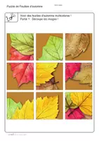 Aperçu - Matériel pour travaux manuels / dessin - Fiches de travail | Puzzle de Feuilles d‘automne, 9 pieces - Page 2