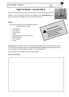 Vorschau - Arbeitsblätter - Anpassung: Warum plustern sich Vögel im Winter auf? - Seite 2