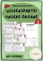 Vorschau - Unterrichtsreihen - Wissenskartei Organe - Deckblatt