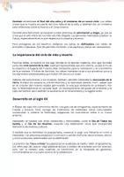 Vista previa - Unidades / Secuencias / Situaciones de Aprendizaje - Halloween: Historia, Tradiciones y Evolución de una Celebración - página 2