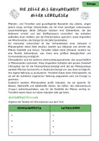 Vorschau - Stundenentwürfe - Pflanzliche und Tierische Zelle AB | 8. + 9. Klasse Biologie - Seite 3
