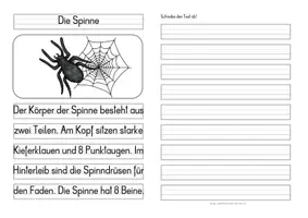 Vorschau - Anderer Materialtyp - Die Spinne – Differenzierte Tafel-, Ansage und Abschreibtexte - Seite 1