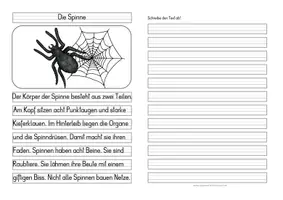 Vorschau - Anderer Materialtyp - Die Spinne – Differenzierte Tafel-, Ansage und Abschreibtexte - Seite 2