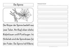 Vorschau - Anderer Materialtyp - Die Spinne – Differenzierte Tafel-, Ansage und Abschreibtexte - Seite 3