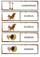 Aperçu - Cartes / Images - Associer mot à image - Page 3