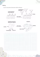 Vorschau - Arbeitsblätter - Superabsorber Experiment - Seite 2