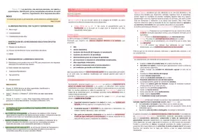 Vista previa - Para docentes: organización, planificación y formación - Oposiciones PT Andalucía: Esquema tema 25 - página 1
