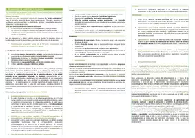 Vista previa - Para docentes: organización, planificación y formación - Oposiciones PT Andalucía: Esquema tema 25 - página 3
