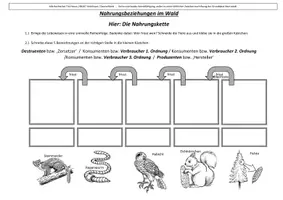Vorschau - Arbeitsblätter - Arbeitsblatt: Nahrungskette / Ökosystem Wald (mit Lösung) - Deckblatt