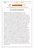 Vorschau - Arbeitsblätter - Leseverständnis 3. Klasse "Die verlorene Schatzkarte" - Deckblatt