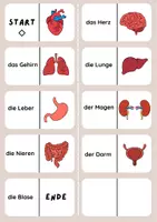 Vorschau - Stationenlernen - Domino Organe - Seite 1