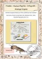 Vorschau - Bildkarten - Freebie - Infografik - Maulwurfsgrille - Deckblatt