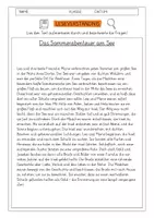 Vorschau - Arbeitsblätter - Leseverständnis 3. Klasse "Das Sommerabenteuer am See" - Deckblatt