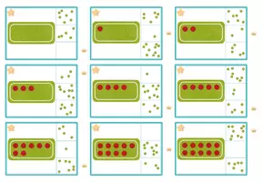 Vorschau - Spiele - 12 Klammerkartensets zur Ziffern-Mengen-Zuordnung - ZR 10 - Seite 2