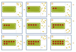Vorschau - Spiele - 12 Klammerkartensets zur Ziffern-Mengen-Zuordnung - ZR 10 - Seite 3
