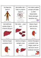 Vorschau - Stationenlernen - Quiz Organe - Seite 2