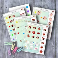 Vorschau - Spiele - 🐞 Marienkäfer Klammerkarten schau genau - Deckblatt