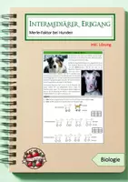 Vorschau - Arbeitsblätter - Intermediärer Erbgang: Merle-Faktor - Deckblatt