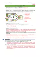 Vorschau - Arbeitsblätter - DNA-Replikation - Seite 2