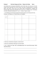 Vorschau - Arbeitsblätter - Dihybrider Erbgang der Erbse – 3. Mendelsche Regel - Seite 1