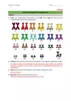 Vorschau - Arbeitsblätter - Chromosomen zu einem Karyogramm ordnen - Seite 3