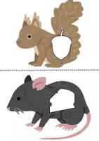 Vista previa - Refuerzo / NEE / Materiales de apoyo - Animales y su alimento - página 3