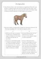 Vorschau - Unterrichtsreihen - Pferdegesundheit - Material für Reitunterricht, Reitpädagogik, Reittherapie und Pferdebegeisterte - Seite 2