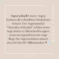 Vorschau - Poster - Fun Facts - Das menschliche Auge - Seite 1