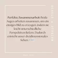 Vorschau - Poster - Fun Facts - Das menschliche Auge - Seite 2