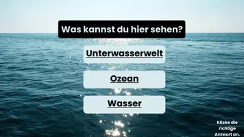 Vorschau - Interaktives Material - Die 5 Weltmeere/ Ozeane - Seite 3