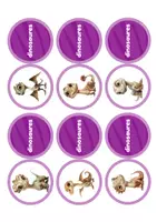 Aperçu - Apprentissages en autonomie - Mémoire des dinosaures. Un jeu pour associer les dinosaures - Page 1