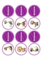 Aperçu - Apprentissages en autonomie - Mémoire des dinosaures. Un jeu pour associer les dinosaures - Page 2